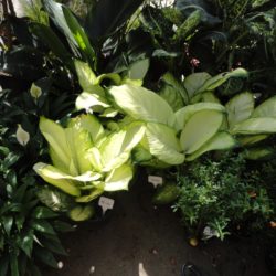 Foto48